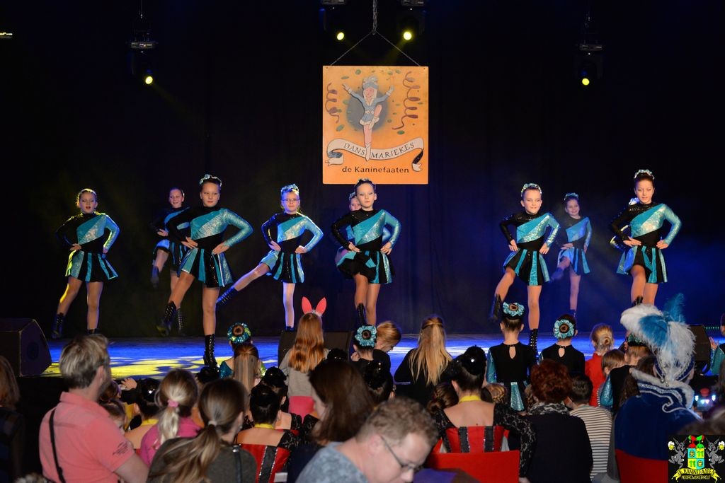 ../Images/Dansmarieke festival 2018 105.jpg